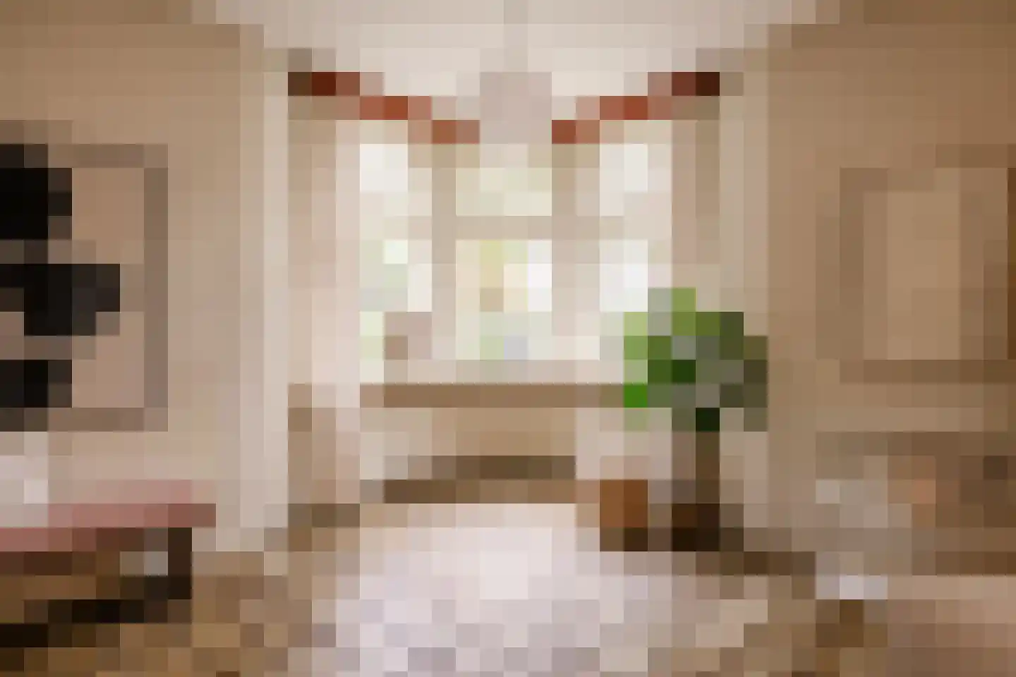 Achterweg 36 Heemstede thumbnail 34