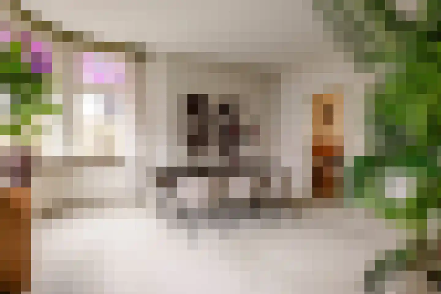 Achterweg 36 Heemstede thumbnail 36