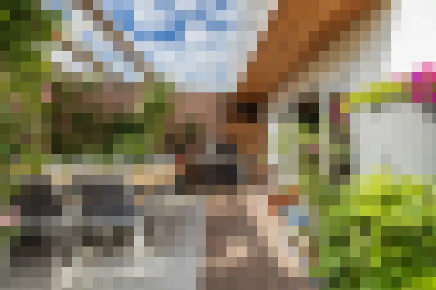 Achterweg 37 Katwijk thumbnail 14