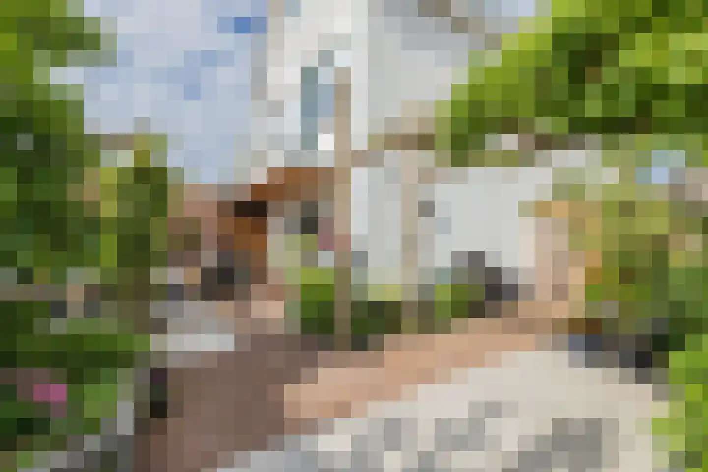 Achterweg 37 Katwijk thumbnail 4