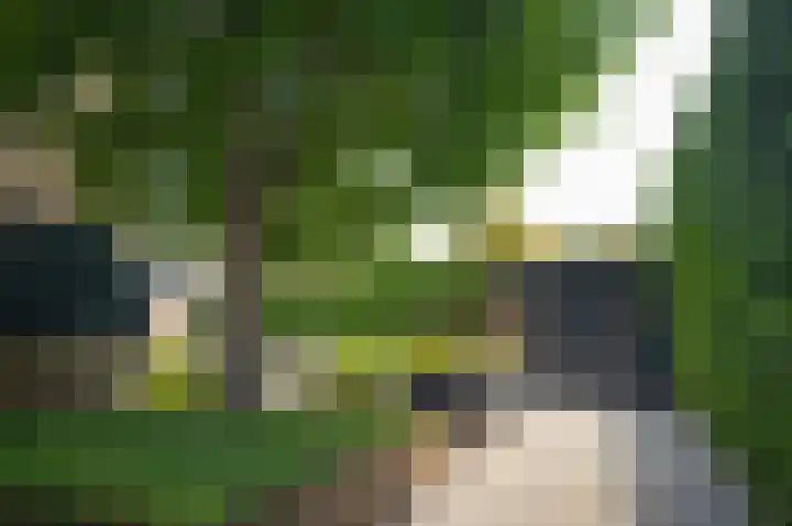 Achterweg 39 Heukelum thumbnail 31