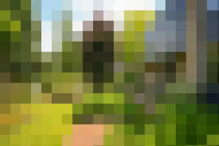 Achterweg 39 Heukelum thumbnail 33