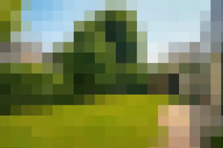 Achterweg 39 Heukelum thumbnail 35