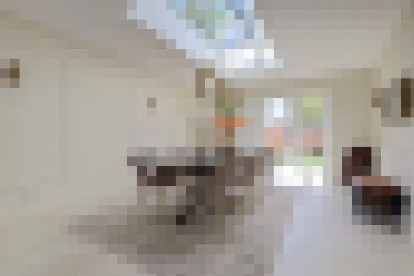 Achterweg 43 d Hagestein thumbnail 18