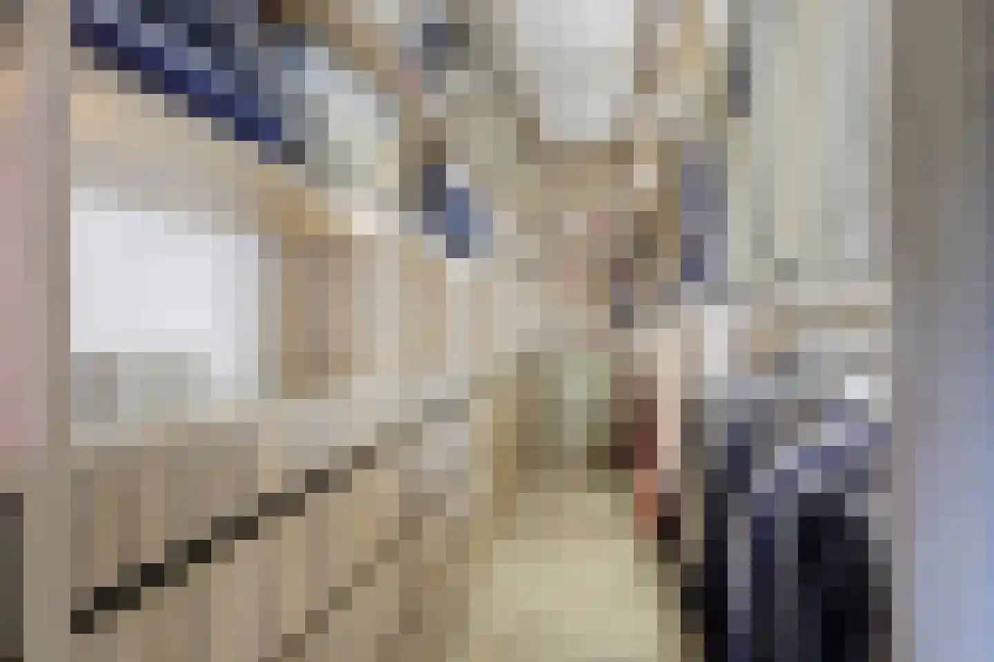 Achterweg 43 d Hagestein thumbnail 33