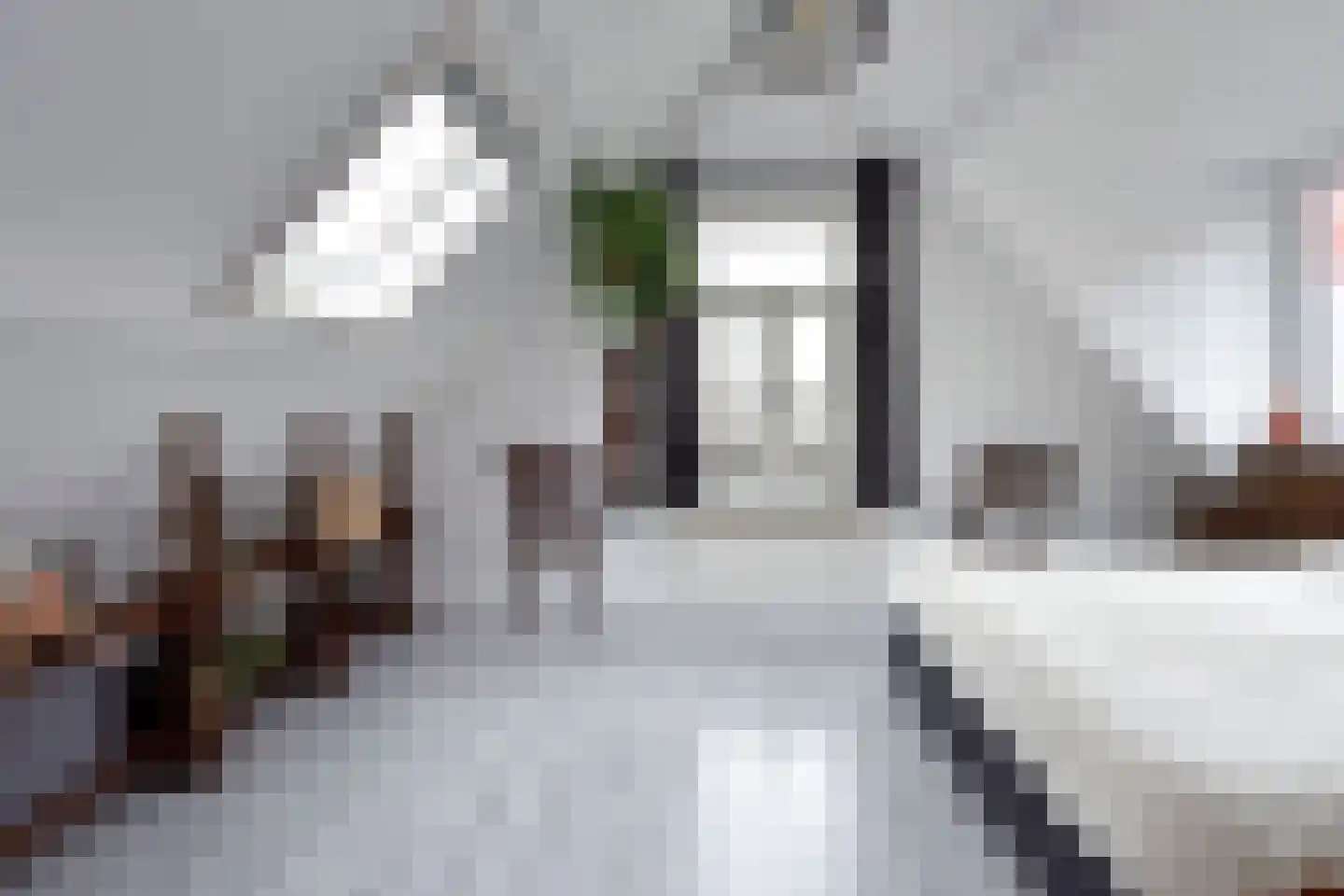 Achterweg 46 Nieuwkoop thumbnail 15