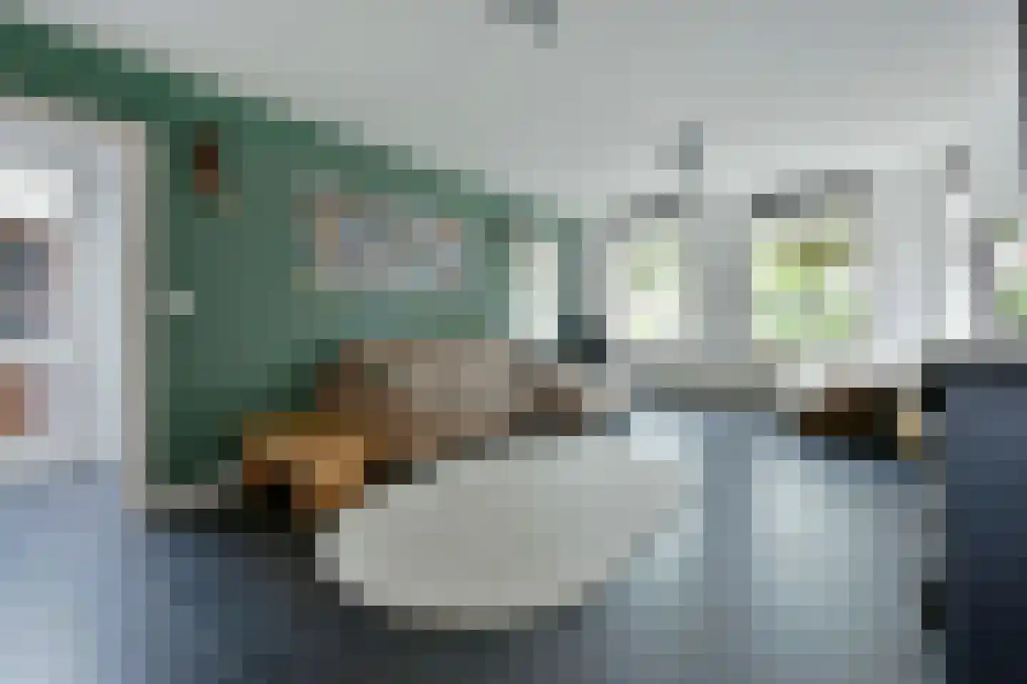 Achterweg 46 Nieuwkoop thumbnail 7