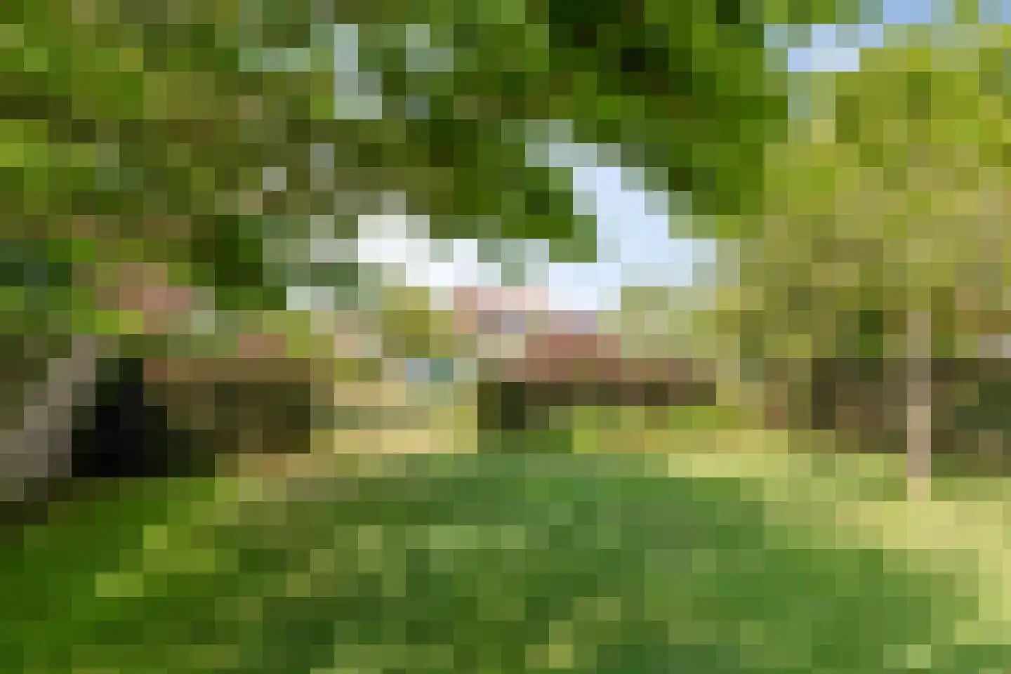 Achterweg 5 Burgh-Haamstede thumbnail 36