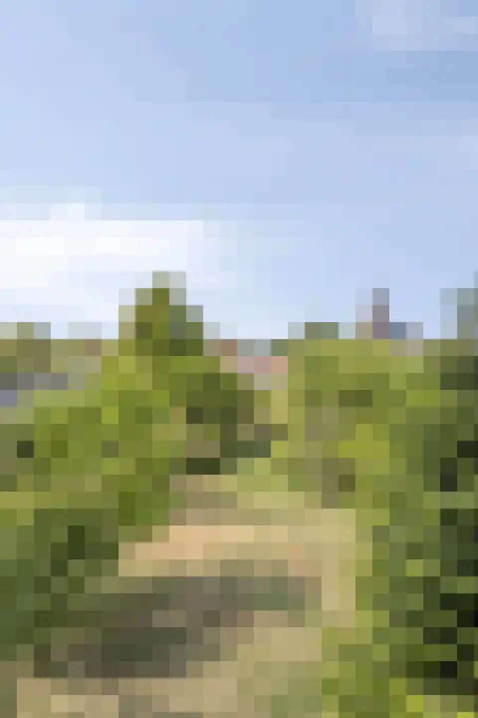 Achterweg 5 Burgh-Haamstede thumbnail 37