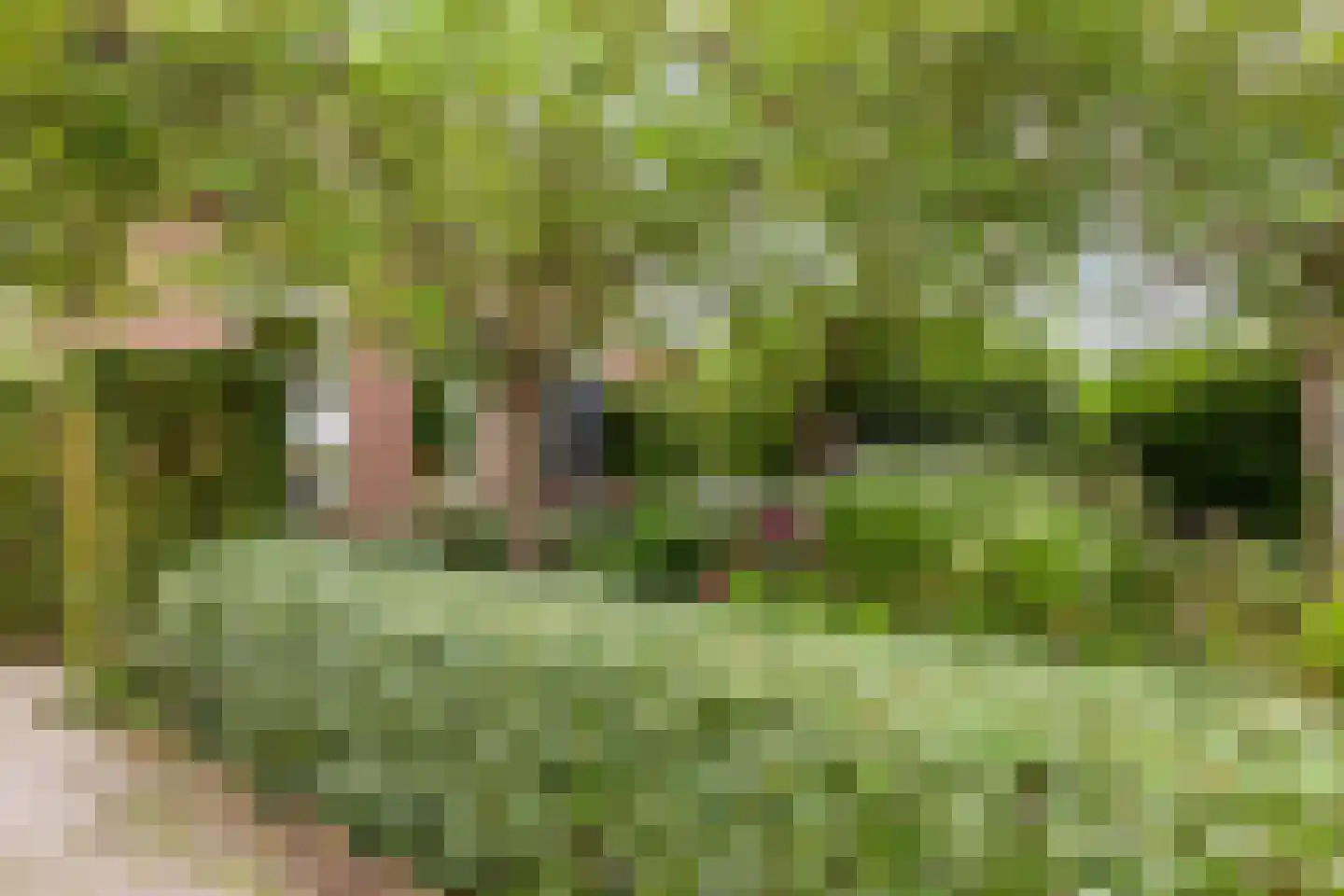Achterweg 5 Burgh-Haamstede thumbnail 38