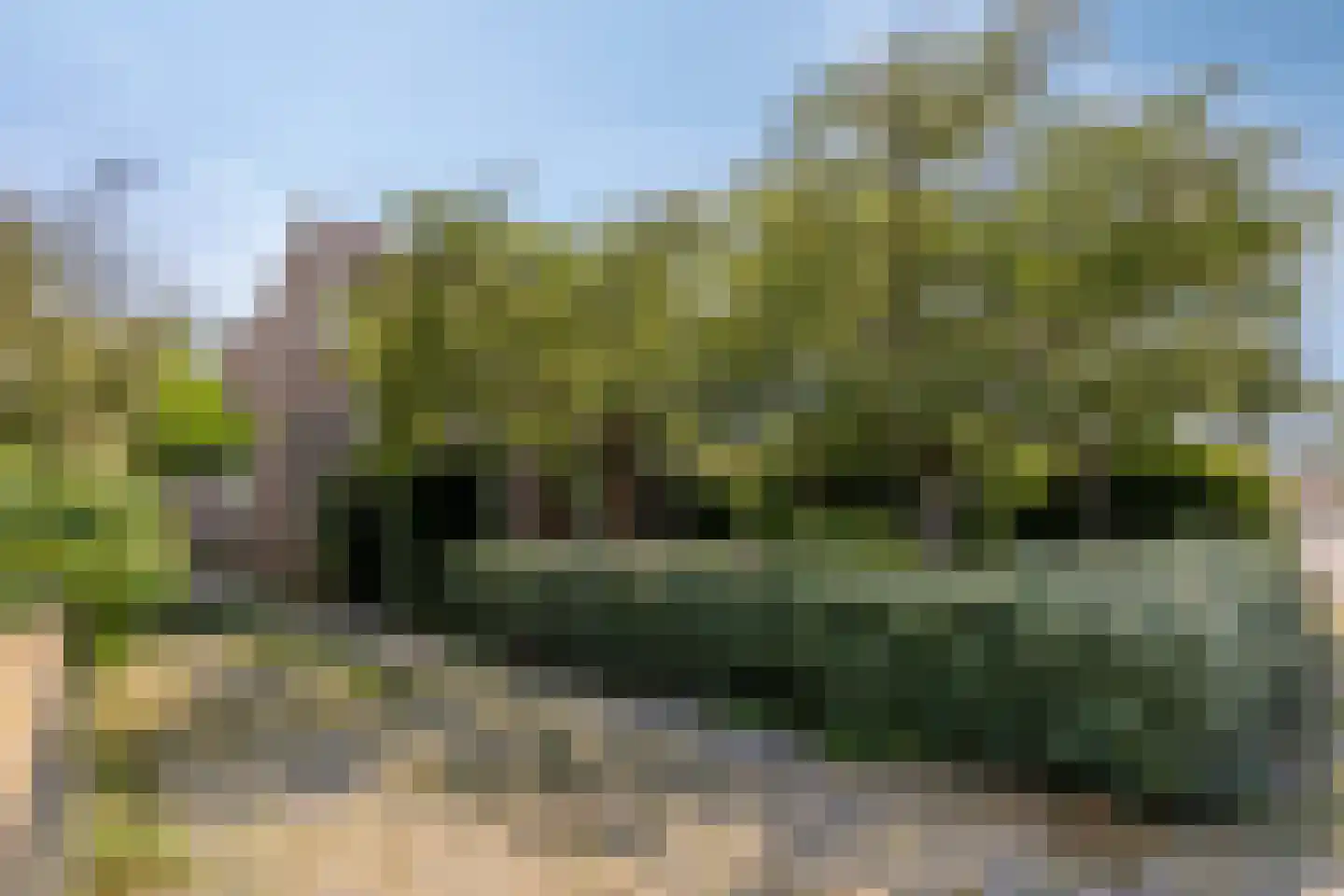 Achterweg 5 Burgh-Haamstede thumbnail 7