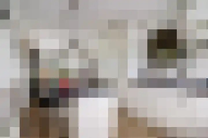 Achterweg 6 Zevenhoven thumbnail 20