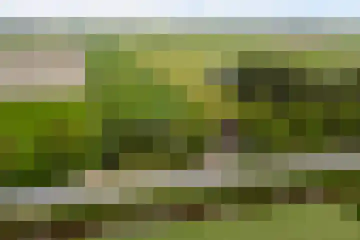 Achterweg 6 Zevenhoven thumbnail 4