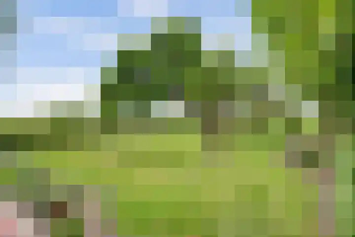 Achterweg 6 Zevenhoven thumbnail 42