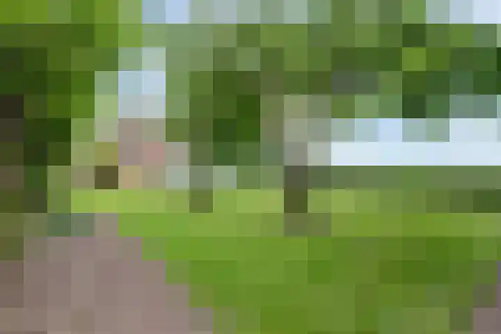 Achterweg 6 Zevenhoven thumbnail 43