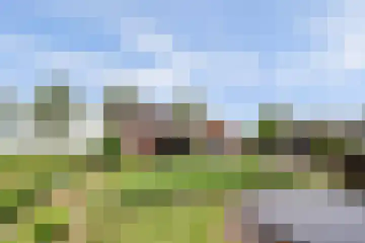 Achterweg 6 Zevenhoven thumbnail 48