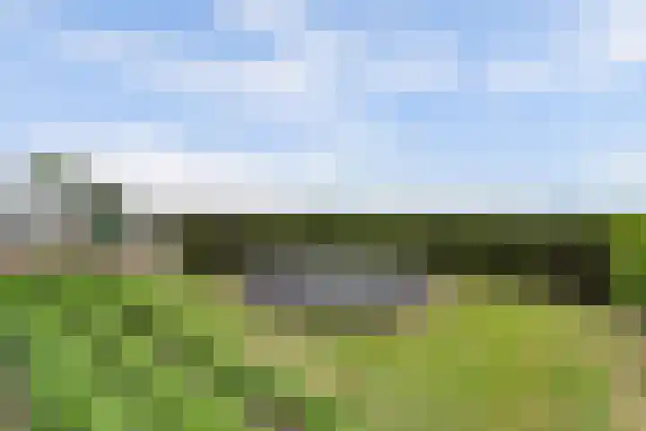 Achterweg 6 Zevenhoven thumbnail 49