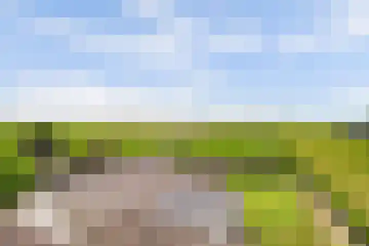 Achterweg 6 Zevenhoven thumbnail 5
