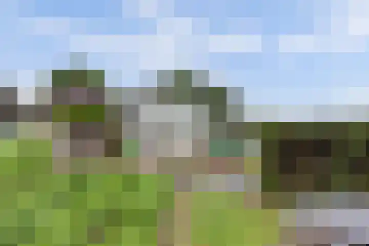 Achterweg 6 Zevenhoven thumbnail 50