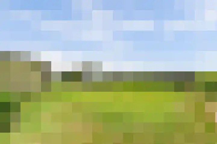 Achterweg 6 Zevenhoven thumbnail 51
