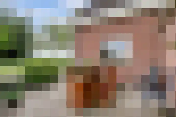 Achterweg 6 Zevenhoven thumbnail 54