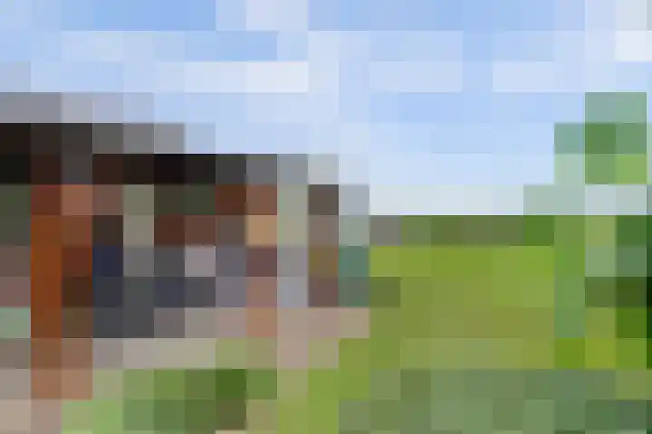Achterweg 6 Zevenhoven thumbnail 56