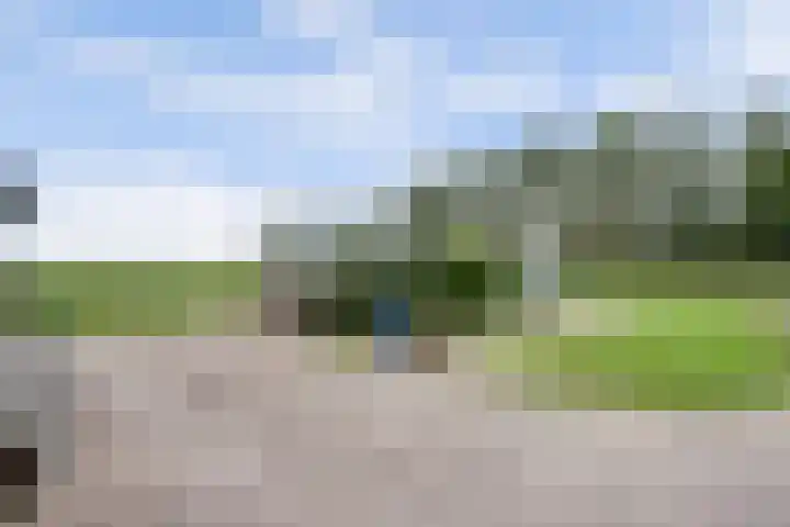 Achterweg 6 Zevenhoven thumbnail 57