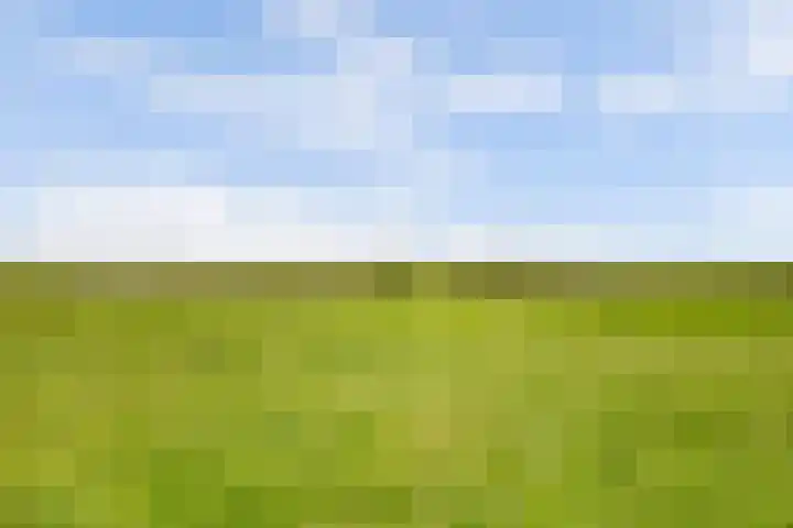 Achterweg 6 Zevenhoven thumbnail 58