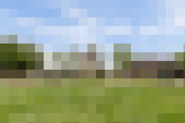 Achterweg 6 Zevenhoven thumbnail 59