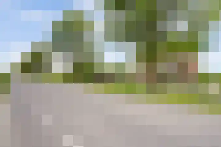 Achterweg 6 Zevenhoven thumbnail 60