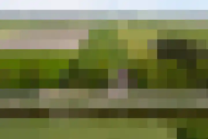 Achterweg 6 Zevenhoven thumbnail 63