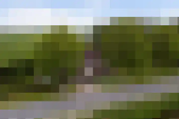 Achterweg 6 Zevenhoven thumbnail 64