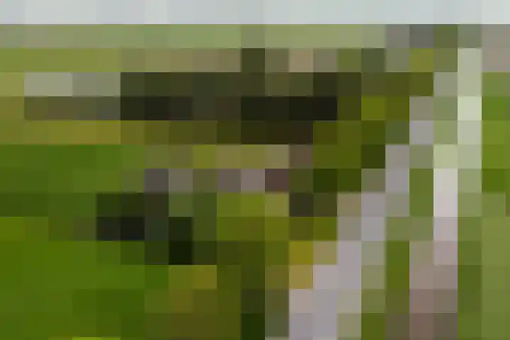 Achterweg 6 Zevenhoven thumbnail 65