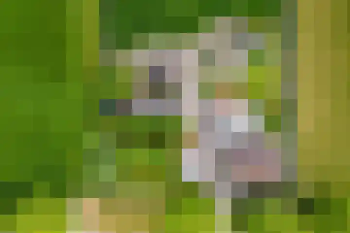 Achterweg 6 Zevenhoven thumbnail 66
