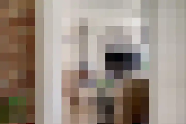 Achterweg 6 Zevenhoven thumbnail 9