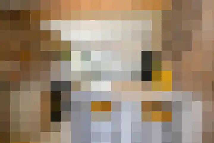 Achterweg 63 Ammerstol thumbnail 10