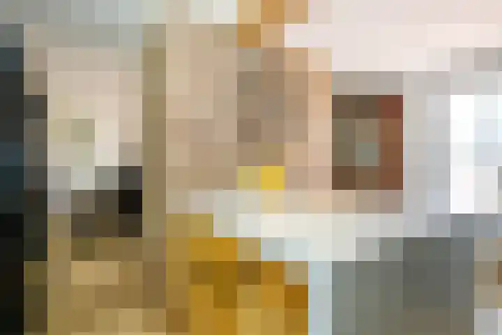 Achterweg 63 Ammerstol thumbnail 11