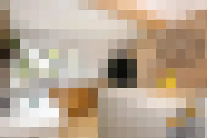 Achterweg 63 Ammerstol thumbnail 12