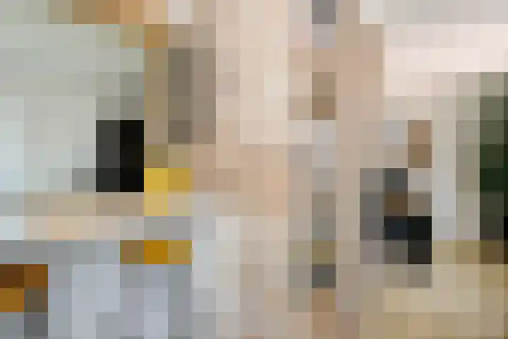 Achterweg 63 Ammerstol thumbnail 13