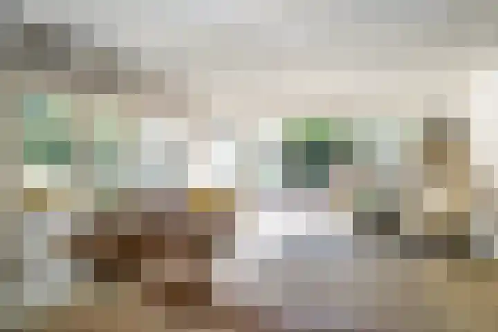 Achterweg 63 Ammerstol thumbnail 18
