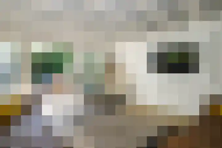 Achterweg 63 Ammerstol thumbnail 19