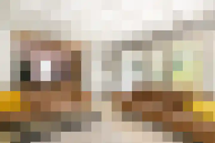 Achterweg 63 Ammerstol thumbnail 21