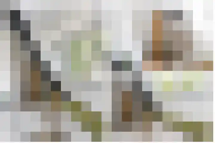 Achterweg 63 Ammerstol thumbnail 22