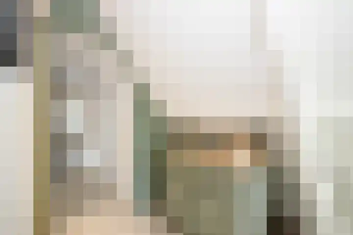 Achterweg 63 Ammerstol thumbnail 23