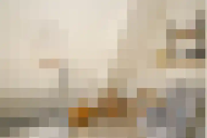 Achterweg 63 Ammerstol thumbnail 26
