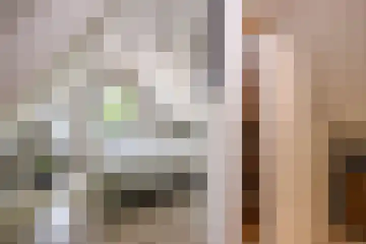 Achterweg 63 Ammerstol thumbnail 28