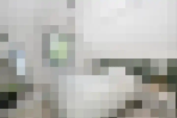 Achterweg 63 Ammerstol thumbnail 29