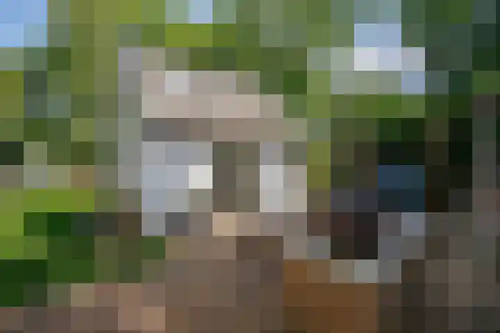 Achterweg 63 Ammerstol thumbnail 32