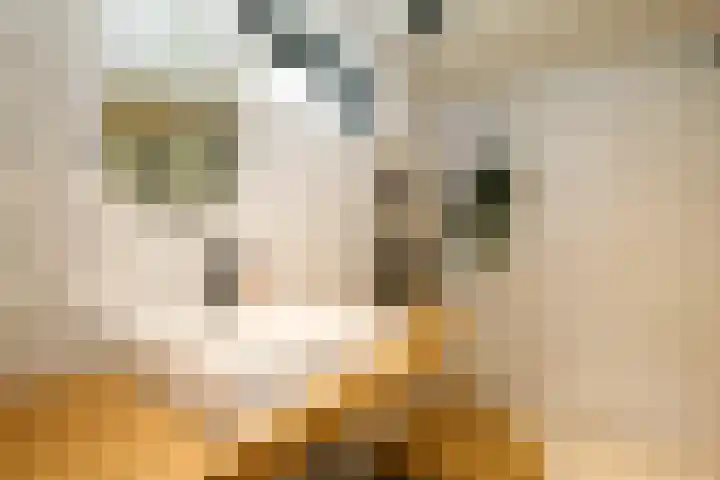Achterweg 63 Ammerstol thumbnail 38