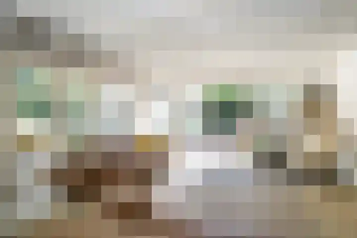 Achterweg 63 Ammerstol thumbnail 4